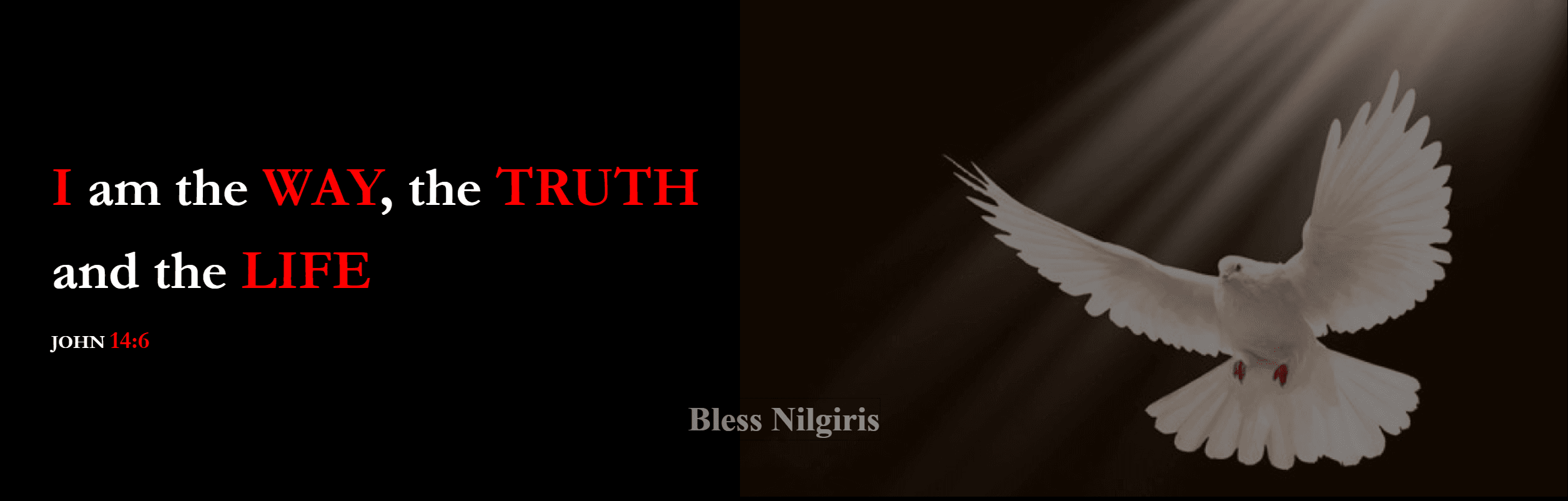 Church Banner1
